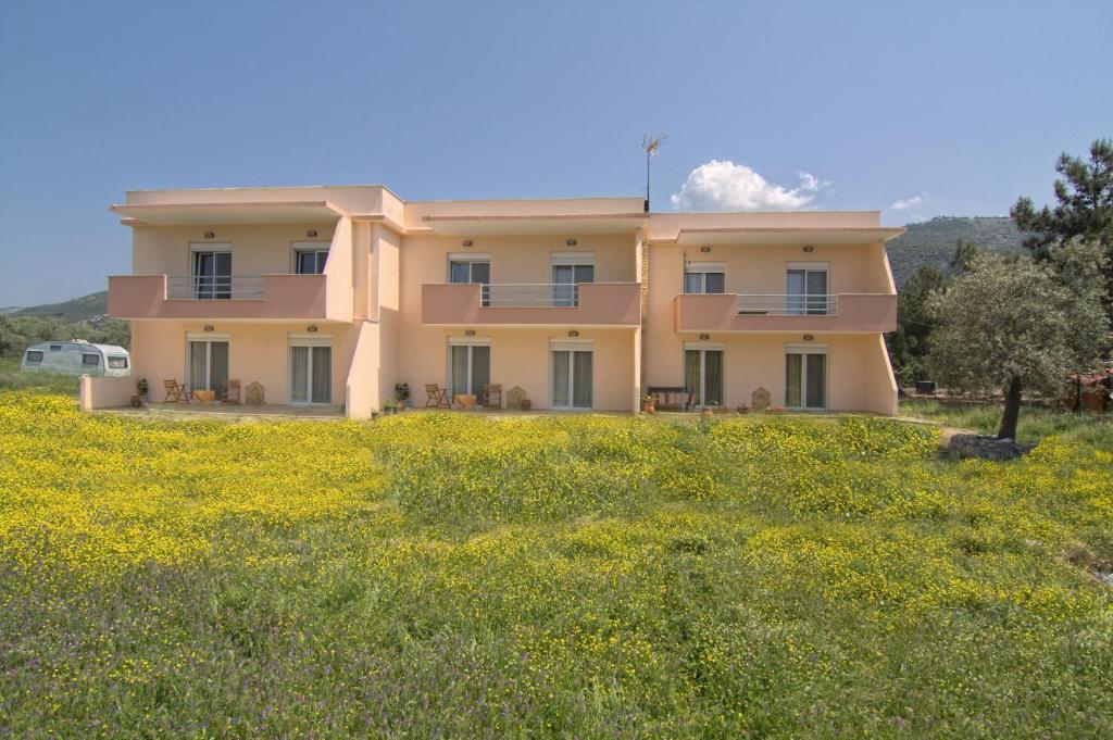 Studios Dimitraki Skala Rachoni  Habitación foto