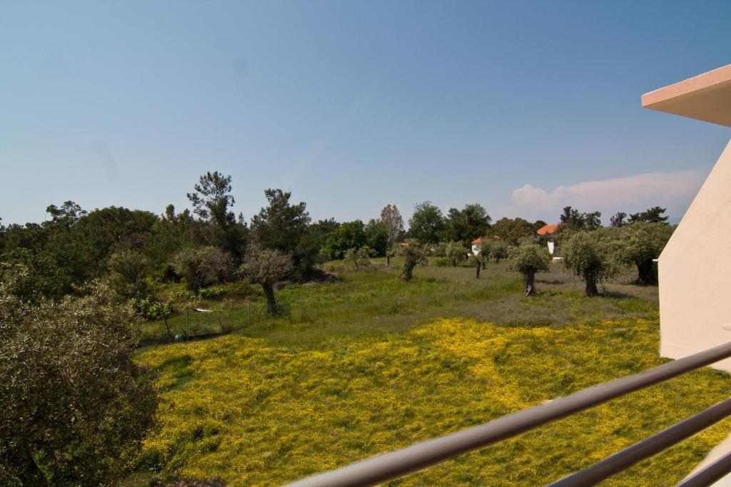 Studios Dimitraki Skala Rachoni  Habitación foto